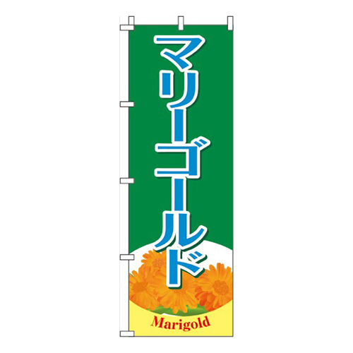 マリーゴールド 緑画像