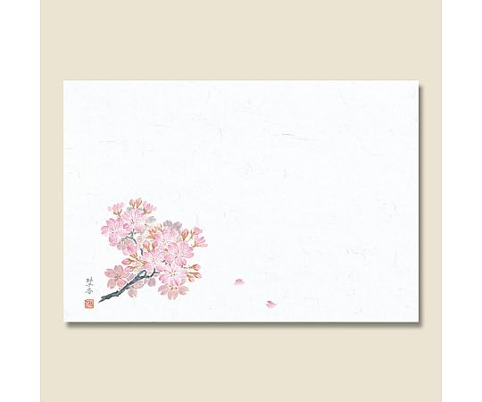 和風テーブルマット 輝シリーズ 8 桜 100枚画像