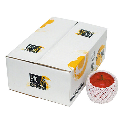 豊果撰集（中）画像