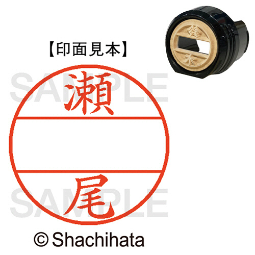 ﾃﾞｰﾀｰﾈｰﾑEX12号 ﾏｽﾀｰ部(印面) 既製 瀬尾 1個画像