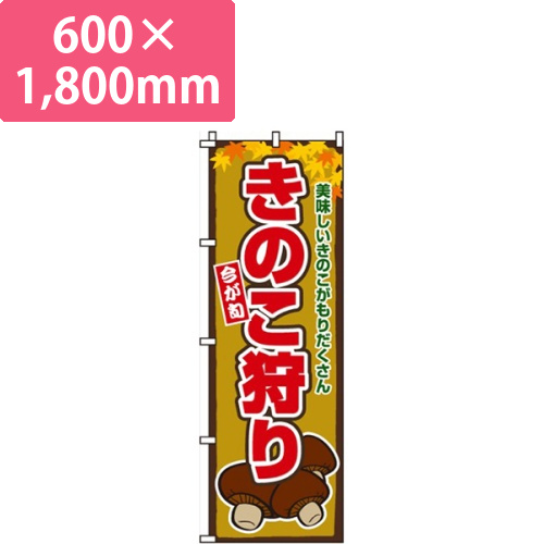 きのこ狩り画像