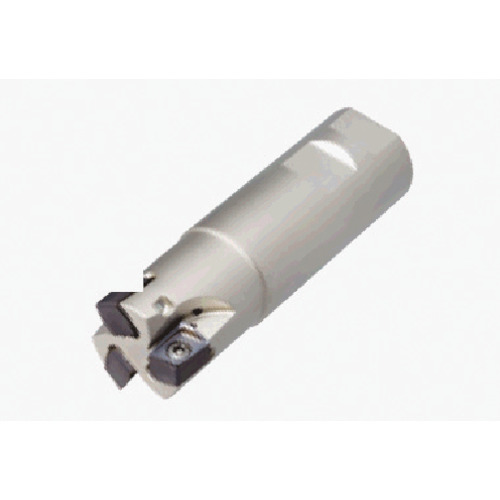 TAC柄付ﾌﾗｲｽ 1個画像