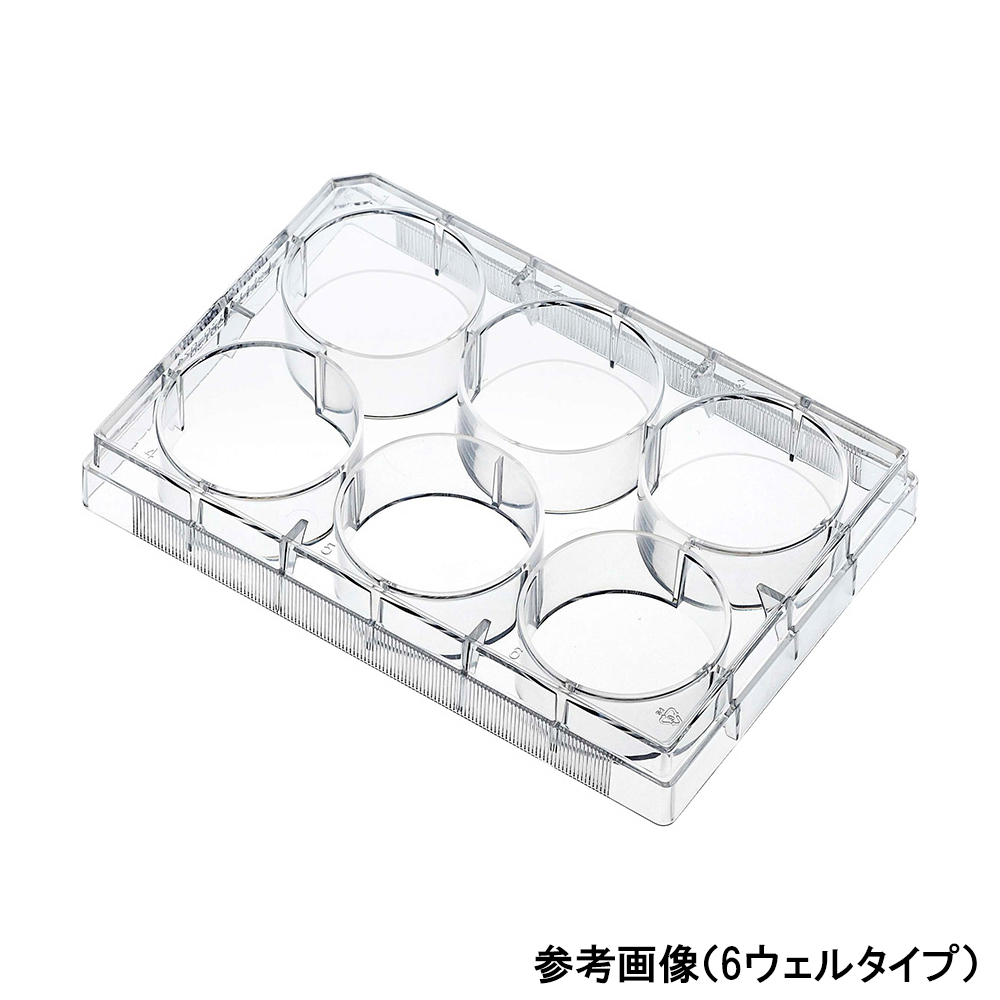 マイクロプレート（表面無処理）24ウェル 1箱（100枚入）画像