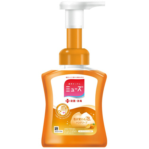 泡ﾐｭｰｽﾞ ﾌﾙｰﾃｨﾌﾚｯｼｭ 本体 250ml 1個画像