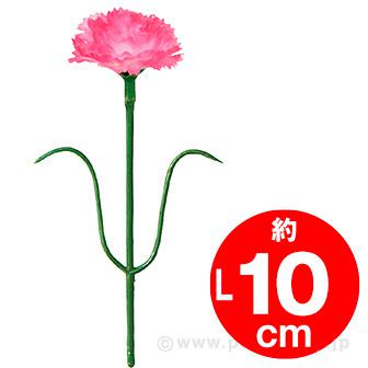 ミニピンクカーネーション画像