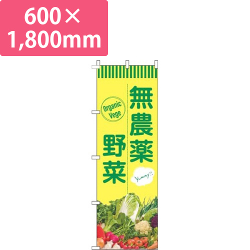無農薬野菜緑黄画像