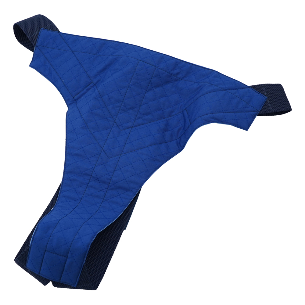 車椅子用安全ベルト画像