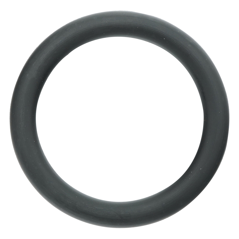 フッ素ゴムOリング（フロロプラス（TM））画像