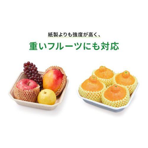 フルーツ容器 WBフルーツ 2L パックスタイル 透明なパッケージにカラフルな果物が美しく盛り付けられた様子