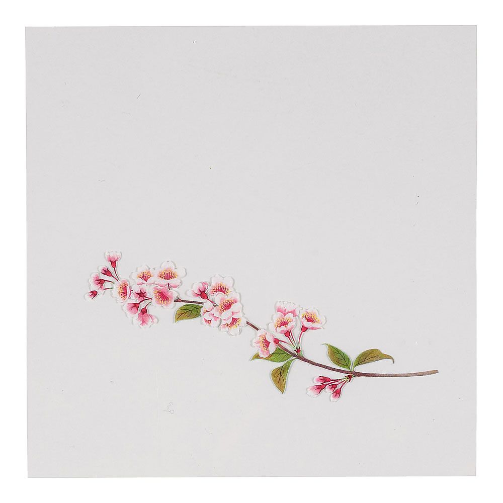 OPクリア四季 桜(200枚入)画像