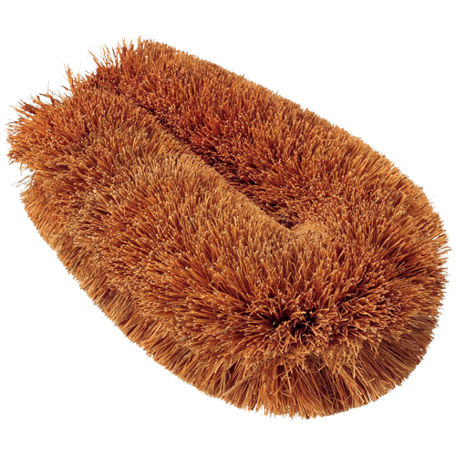 ﾊﾟｰﾑたわし 大型 1個画像