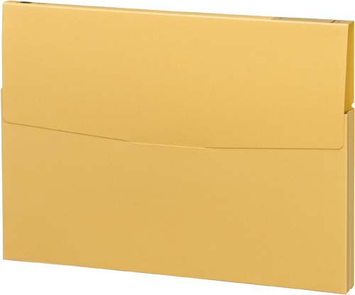 ケースファイル　高級色板紙　Ａ４縦　黄　３０冊画像