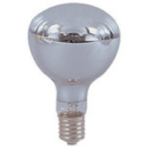 安全投光器用電球 300W 1個