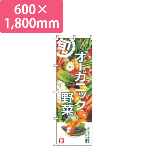 オーガニック野菜旬写真画像