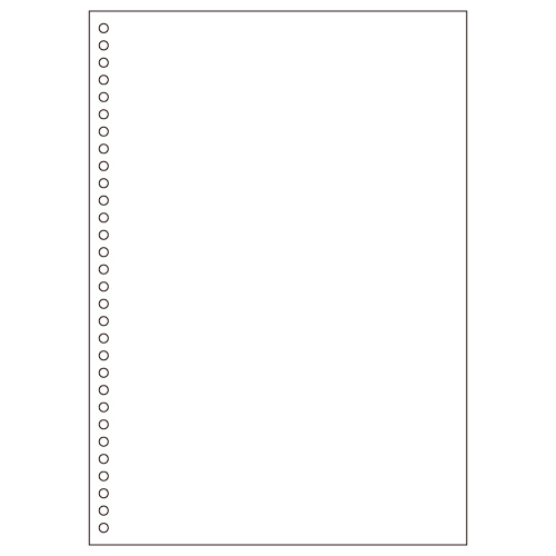 ﾏﾙﾁﾌﾟﾘﾝﾀ帳票 A4 白紙 30穴 1冊(100枚)画像