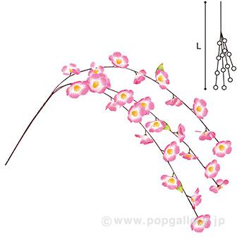 大桜3本シダレ画像