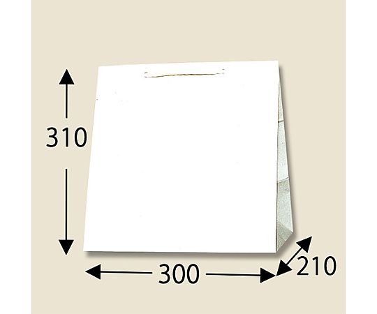 300x210x310mm 紙袋(白無地/50枚) 白無地の紙袋が整然と並んでいる様子