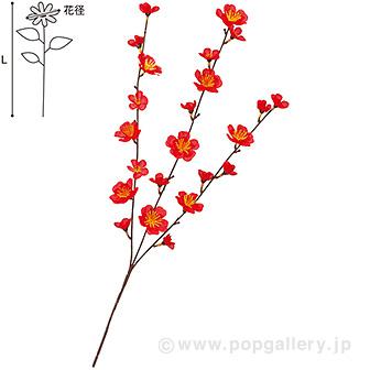 梅スプレー画像