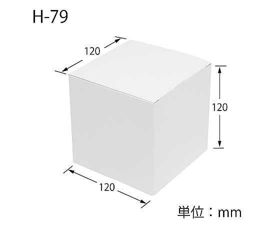 HEIKO 箱 白無地汎用ボックス H-79 10枚 白い無地の箱が10枚並んだ状態