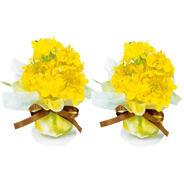 菜の花ボールペアセット画像