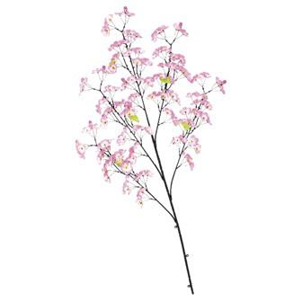 桜スプレー大（5本枝）画像