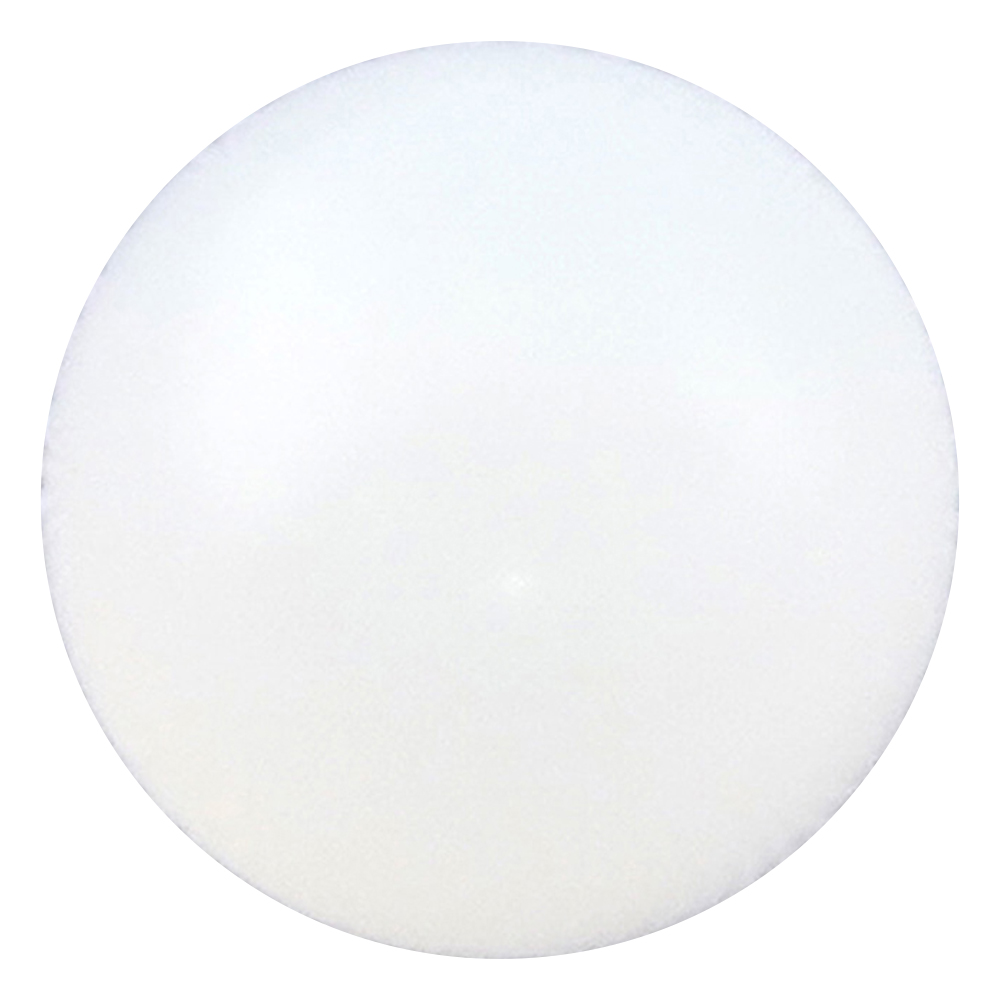 ナイロン球　φ4.8mm　100個入画像