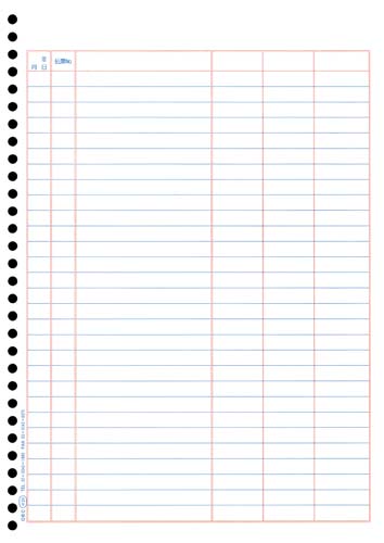 ＬＢＰ対応　単票バインダー元帳　Ａ４　１０００枚入画像