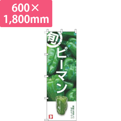 ピーマン旬写真画像