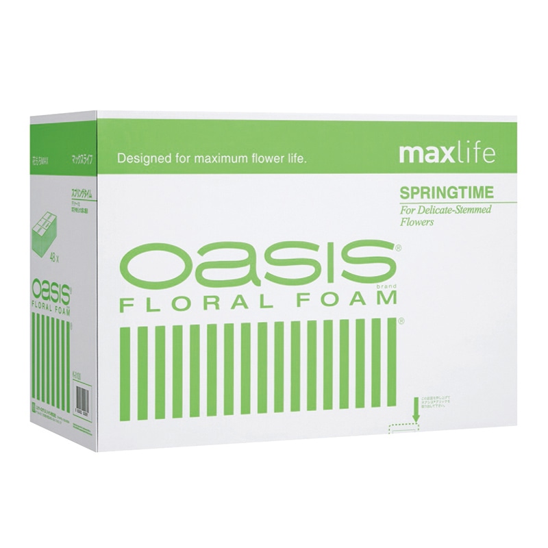 ＫＮ０１００　オアシス　スプリングタイム　ＭＬ画像