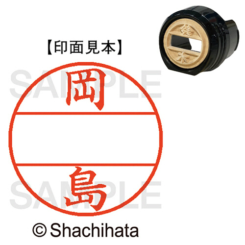 ﾃﾞｰﾀｰﾈｰﾑEX12号 ﾏｽﾀｰ部(印面) 既製 岡島 1個画像