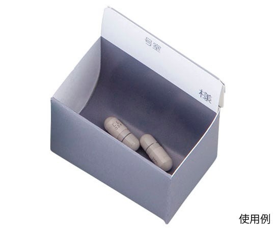 与薬個人ケースIII（ワンタッチ）グレー 1袋(10枚入)画像