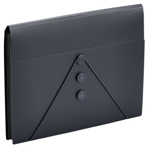 ｻｸｯと整理!ﾄﾞｷｭﾒﾝﾄﾌｧｲﾙ(ﾌﾀ付ﾀｲﾌﾟ) A4 13ﾎﾟｹｯﾄ 黒 1冊画像