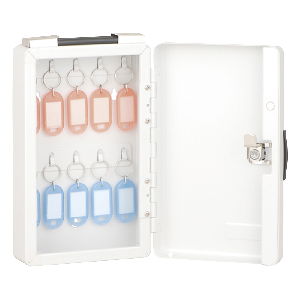 キーボックス 10個 138×65×227mm画像