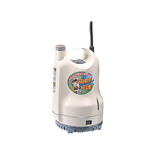 ﾎﾟﾝﾃﾞｨ(清水用水中ﾎﾟﾝﾌﾟ) 60HZ 1台画像