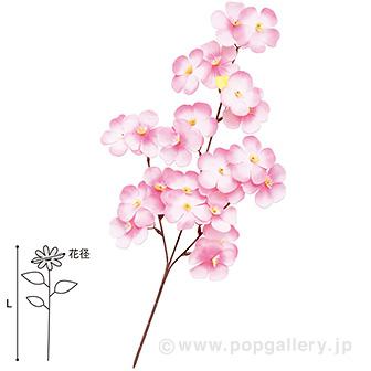 大桜スプレー画像