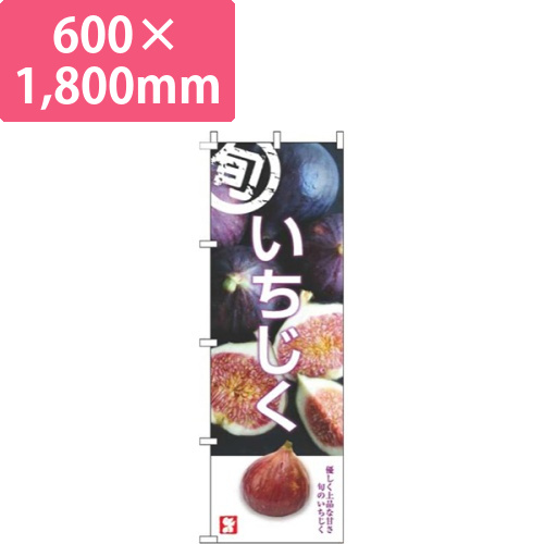 いちじく旬写真画像