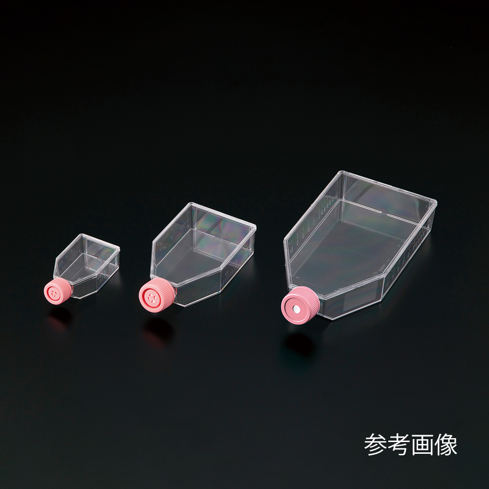 ビオラモ細胞培養フラスコα（ベントキャップ）25cm2 1箱(5個×40包入)画像