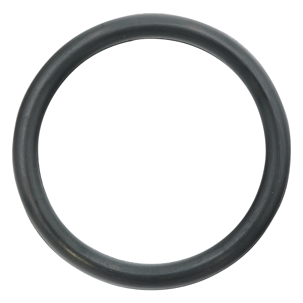 フッ素ゴムOリング（フロロプラス（TM））画像