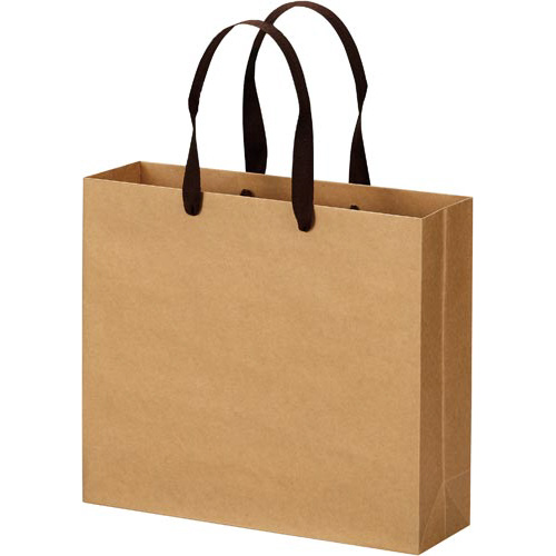 クラフトバッグ　平紐　Ｍ　１０枚画像