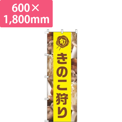 きのこ狩り写真黄色帯画像