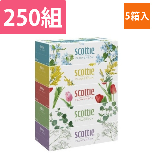スコッティ　ティシュー　フラワー　250組×5箱画像