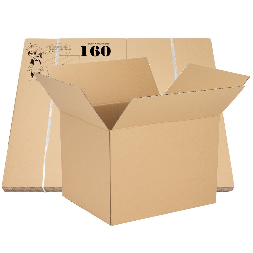 段ボール 160サイズ 10枚入画像