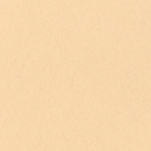 ﾆｭｰｶﾗｰR 四つ切 しらちゃ 1ﾊﾟｯｸ(100枚)画像