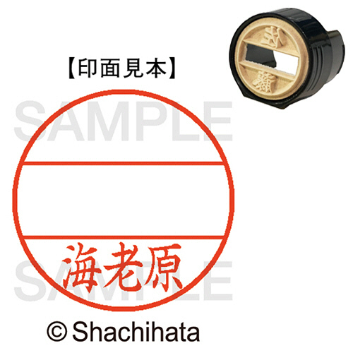 ﾃﾞｰﾀｰﾈｰﾑEX15号 ﾏｽﾀｰ部(印面) 既製 海老原 1個画像