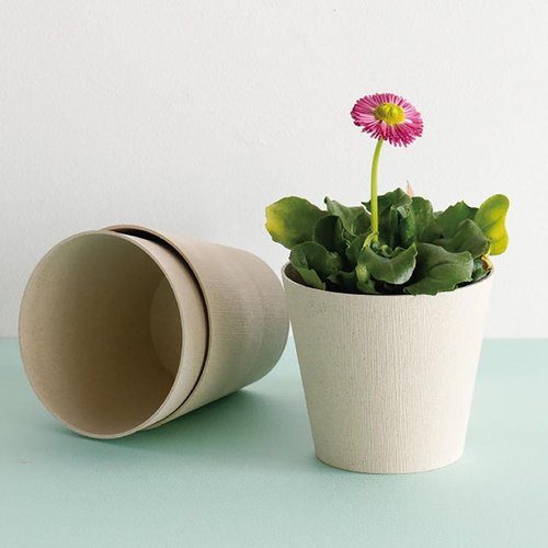 贈答箱 WDY-POIS ウッディフラワーアレンジポット-S/アイボリー(10個) ヘッズ アイボリーのフラワーアレンジポットが並んだ様子、質感が際立つデザインが特徴。