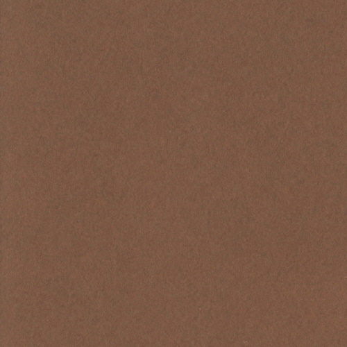 ﾆｭｰｶﾗｰR 八つ切 こいこげちゃ 1ﾊﾟｯｸ(100枚)画像