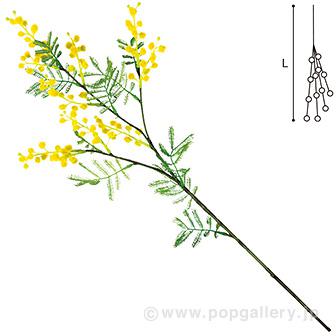 ミモザスプレー