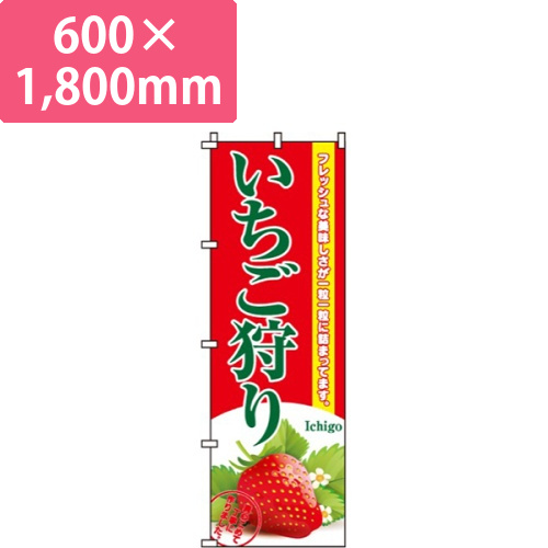 いちご狩り画像
