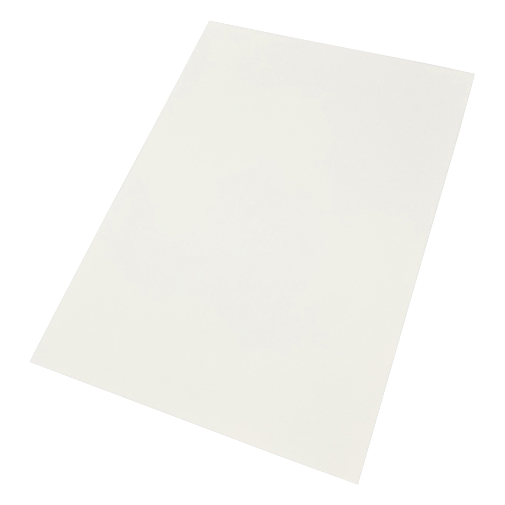 レーザープリンタ用耐水紙（PET　タイプ）　A3　100枚入画像