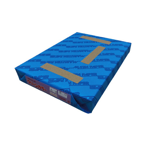 クリーンカラー　一般色　薄口５００枚　Ａ４りんどう画像